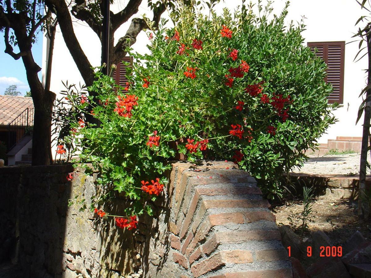 Fattoria Casanova Séjour à la ferme Palaia
