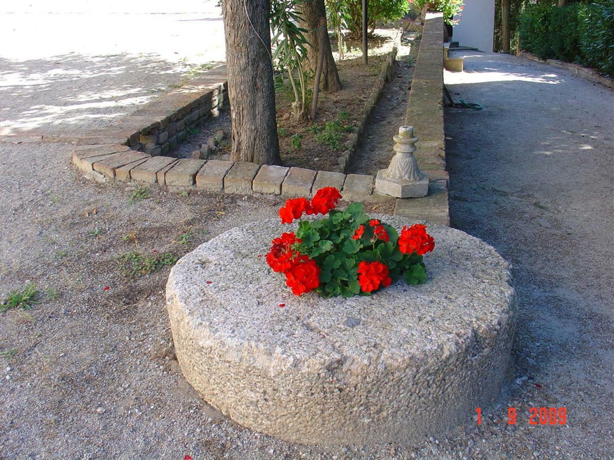 Fattoria Casanova * Palaia
