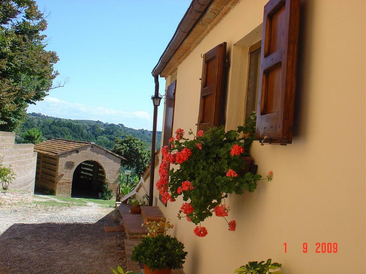 Fattoria Casanova Séjour à la ferme Palaia