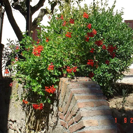 Fattoria Casanova Villa Palaia Exterior photo