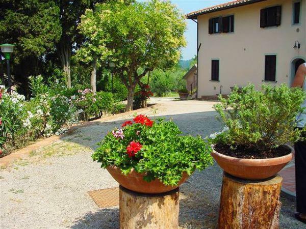 Fattoria Casanova Bauernhof Palaia